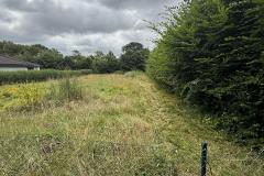 PHOTO-2026-09-14-18-00-53-3