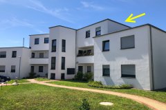 original
