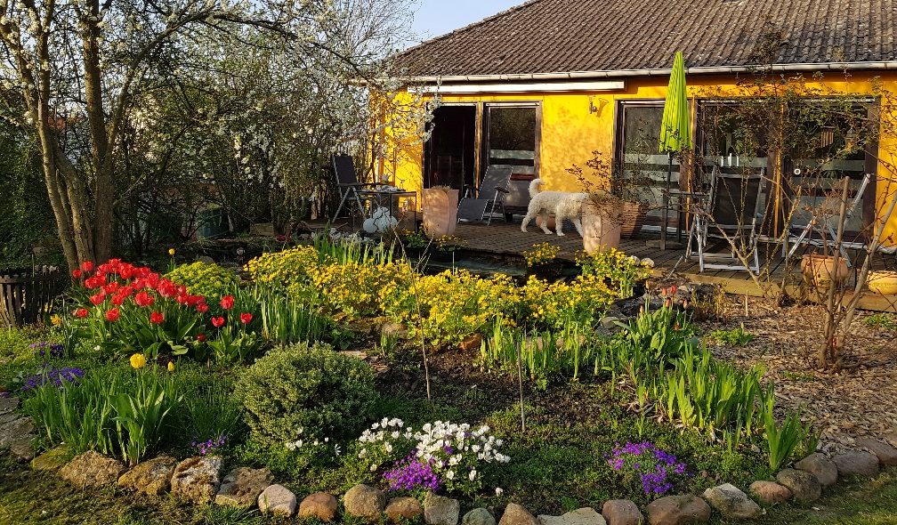 Gepflegter Bungalow in ruhiger Wohnlage – Warberg Gepflegter Bungalow in ruhiger Wohnlage – Warberg