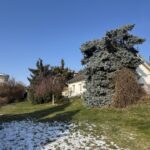 Bauträgerfreies Baugrundstück in Helmstedt – Lappwaldsee